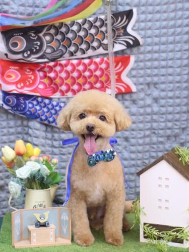 20230516ぽっきーくん